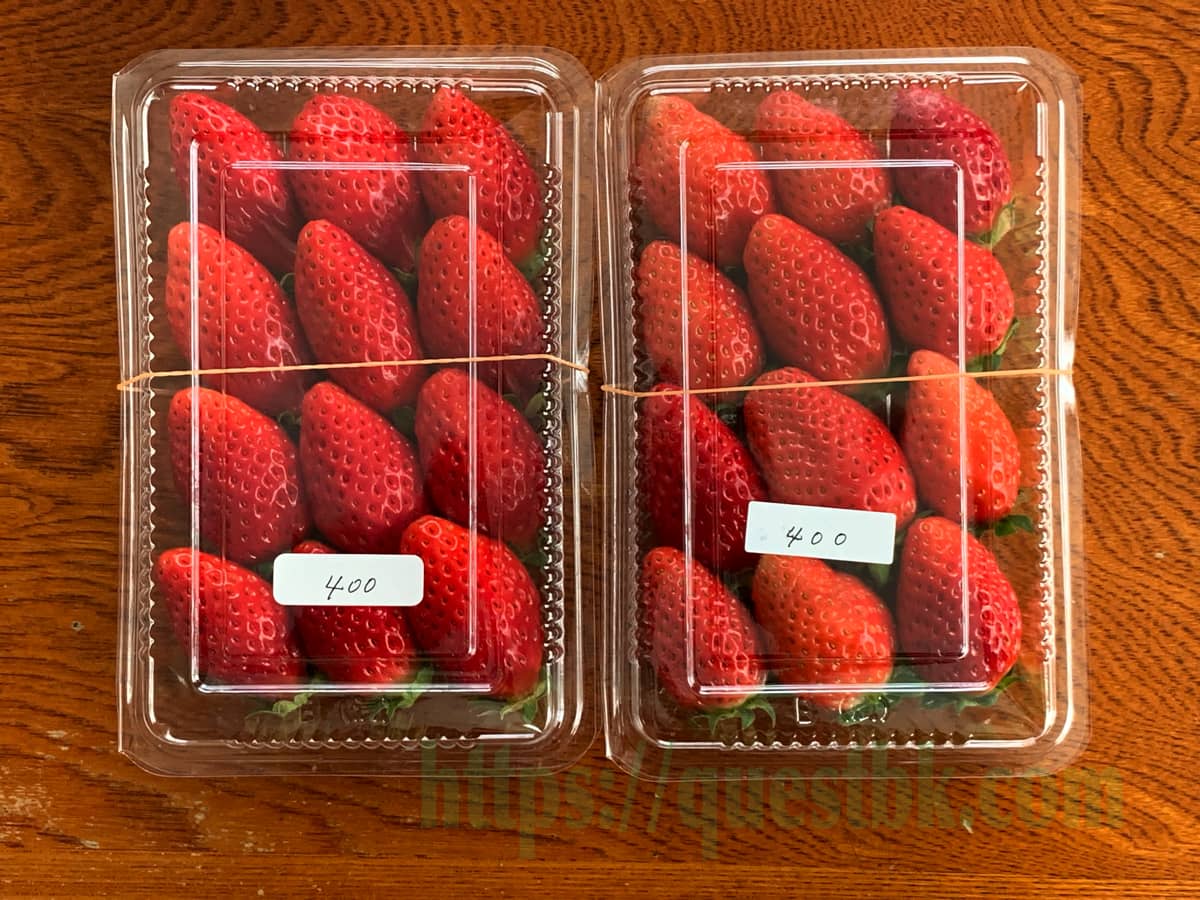 1バック400円の久能の石垣いちご、品種は章姫