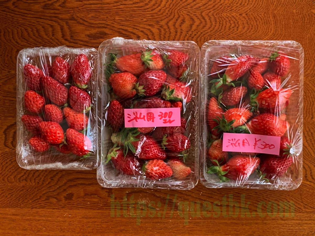 石垣いちごのジャム用