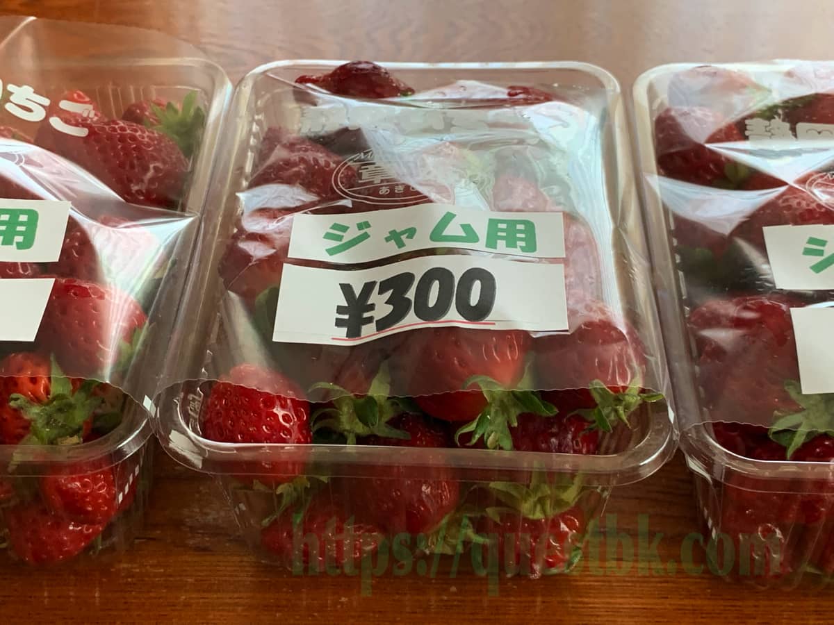 静岡市久能の石垣いちご、ジャム用