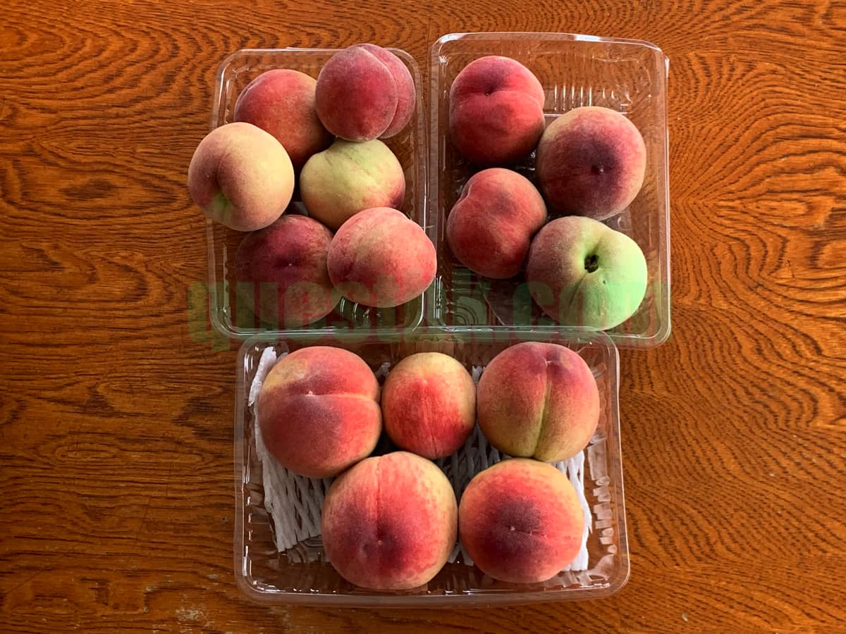 2025年の長田の桃の季節が到来しました。今年の長田の桃も良い品質です。