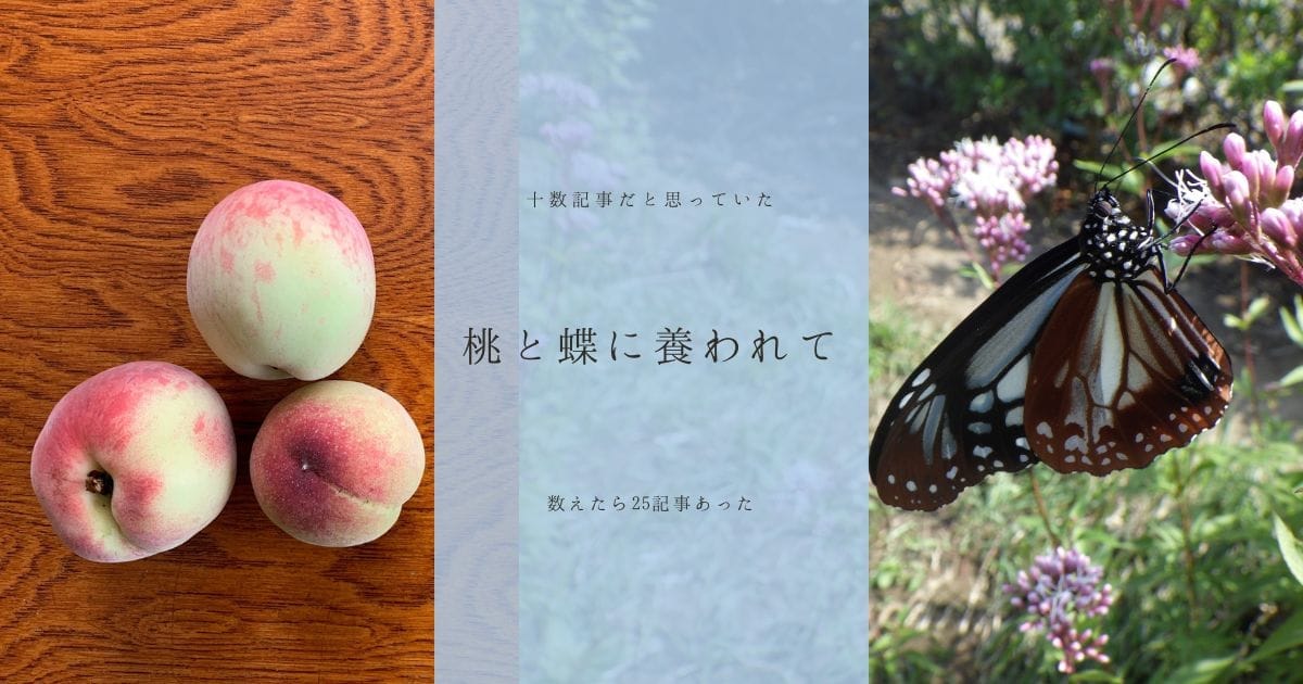 ブログ開始から10年目を目前にして、改めて自分が何を書きたいのかについて考えてみた。長田の桃についての読者とアサギマダラの飛来を待ちかねている読者に感謝しながら今後も続けていく。